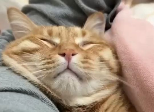 Идёт невидимый бой