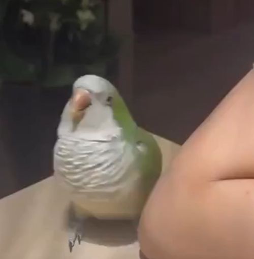 Трогательные моменты