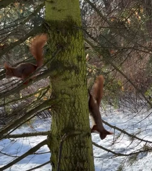 Весна близко...