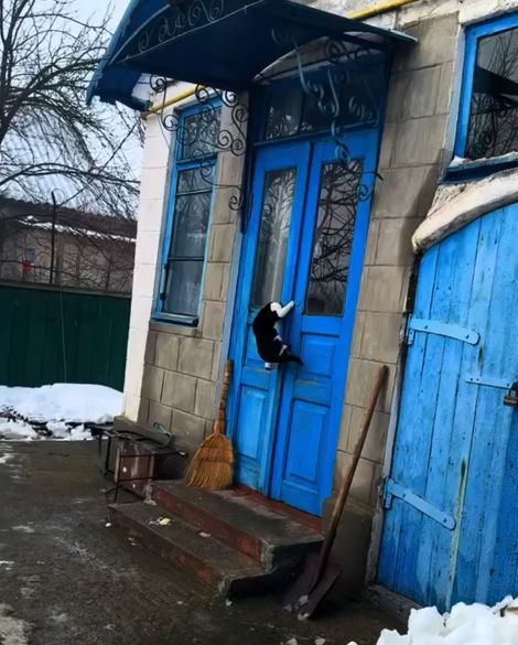 Откроет или нет?