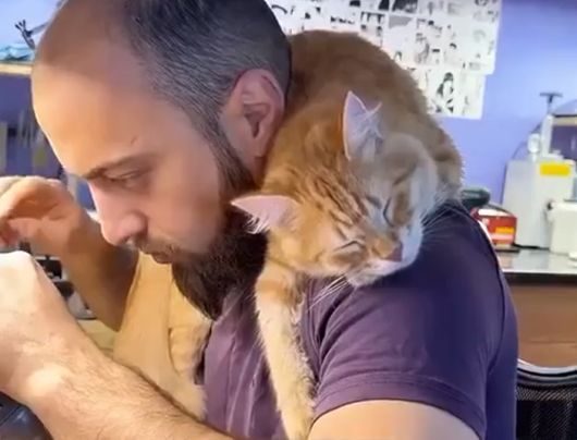 Рыжий помощник