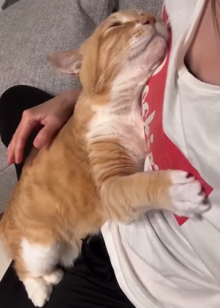 Мамин которебеночек⁠⁠