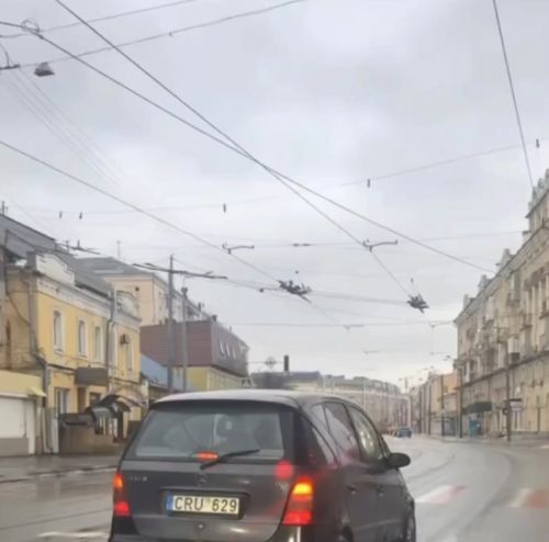 В Европе найден автомобиль с необычным парктроником