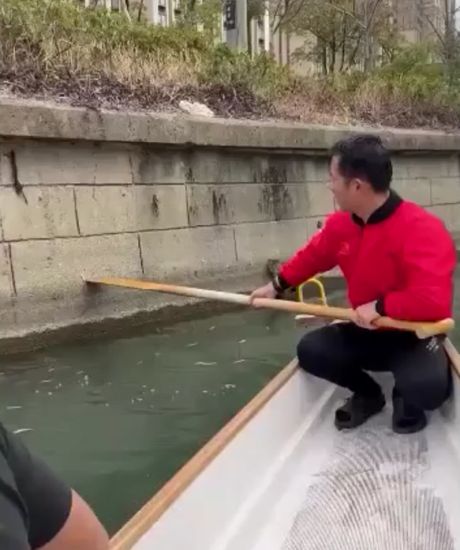 Плюс одно спасённое животное⁠⁠