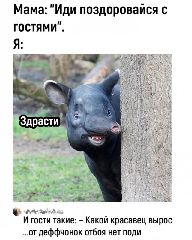 Свежие приколы и смешные картинки для отличного настроения