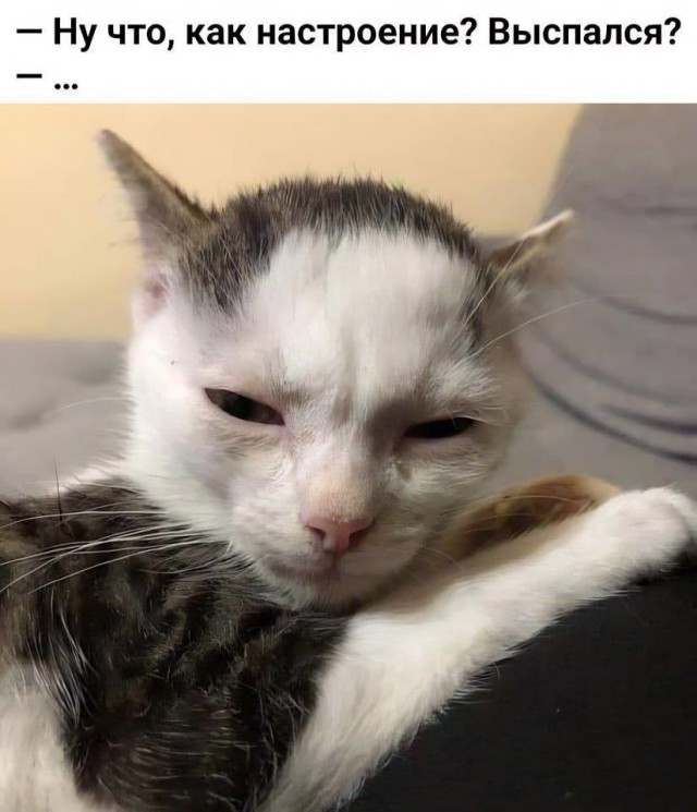 Юмор четверга 12.02.2026