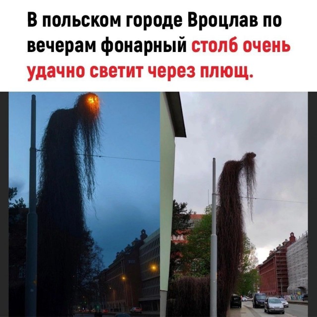 Подборка лучших мемов за весь день