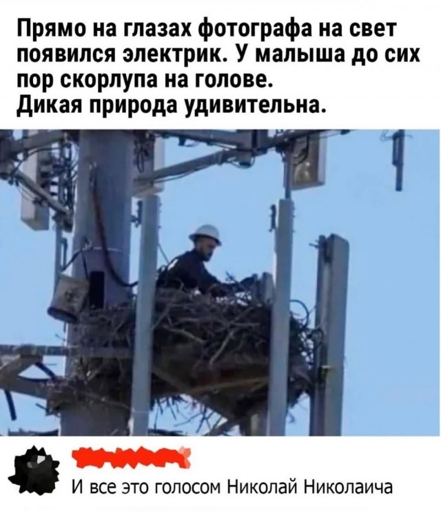 Лучшие приколы и смешные мемы дня для отличного настроения