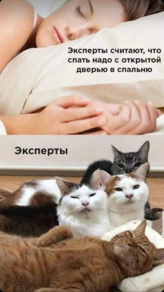 Утренний воскресный юмор