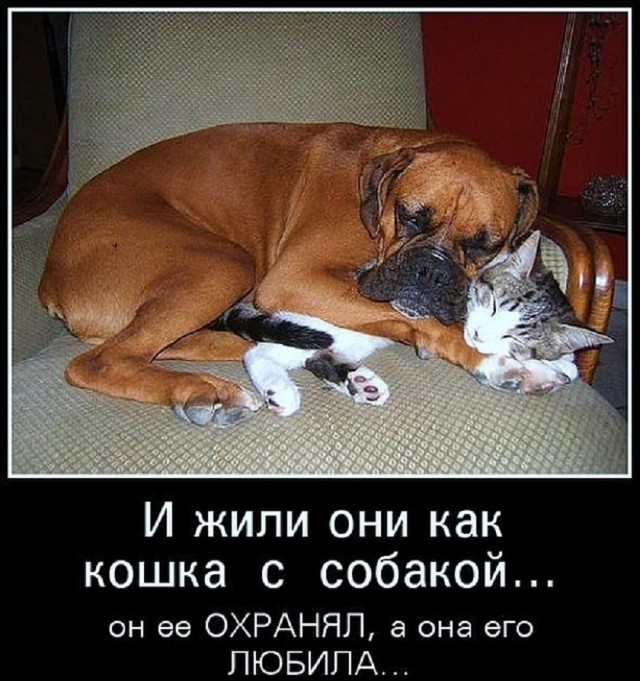 Приколы для отличного старта рабочей недели