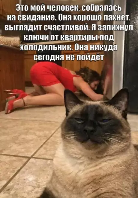 Немного веселых картинок на вечер