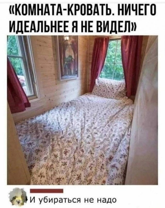 Вечерний юмор 20.02.2026