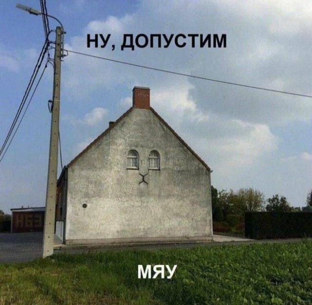 Своеборазный юмор