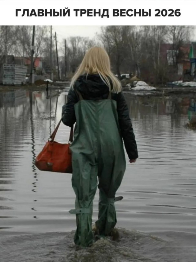 Утренняя подборка юмора 01.03.2026