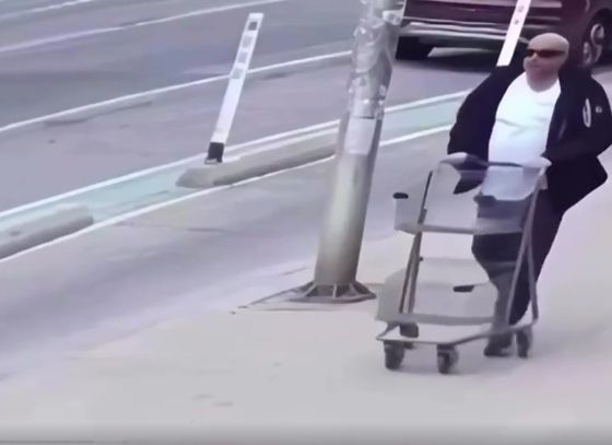 Всегда внимателен, и готов действовать⁠⁠