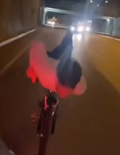 Естественный отбор⁠⁠