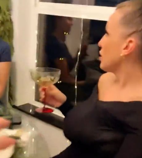 Коты-интроверты