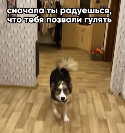 Все имеет свою цену...⁠⁠