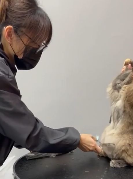 Месть будет страшна!