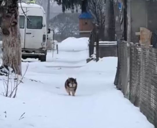 Вжух-вжух-вжух