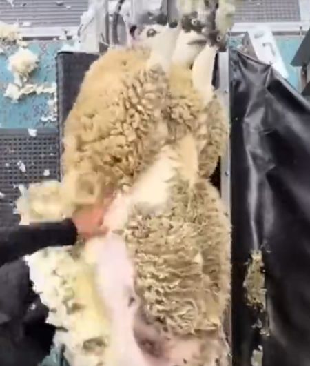 Сделал дело и даже имя не спросил