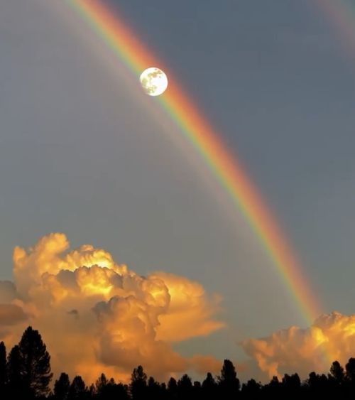 Невероятное зрелище