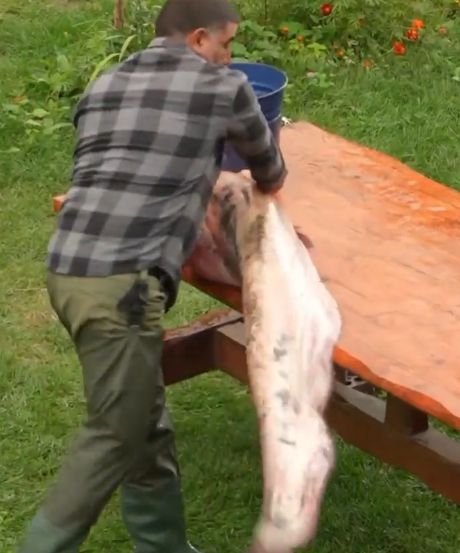 «Фу,старый и тиной воняет»