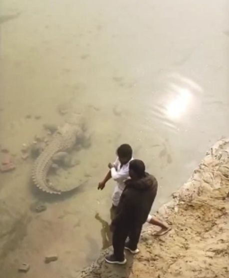 Индусам надоели ЛЭП и поезда