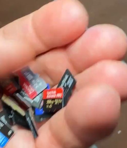 Налетели, голодные⁠⁠