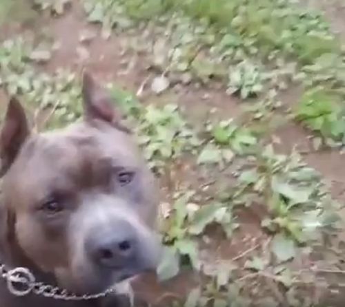 Свобода⁠⁠