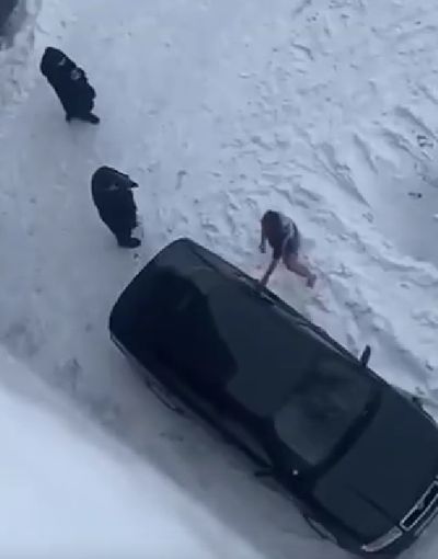 Суровая омская парковка у дома