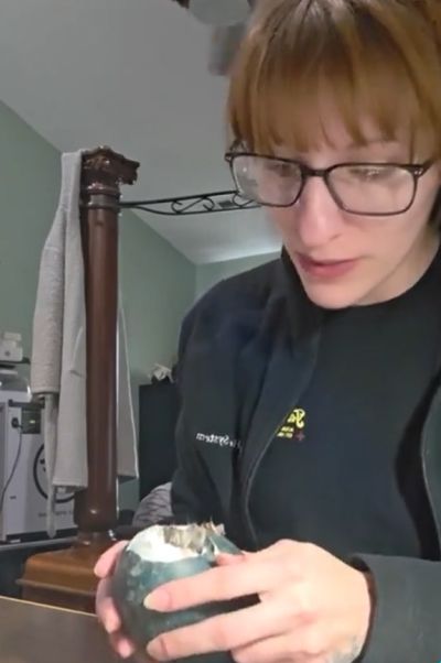 Процесс рождения эму в домашних условиях