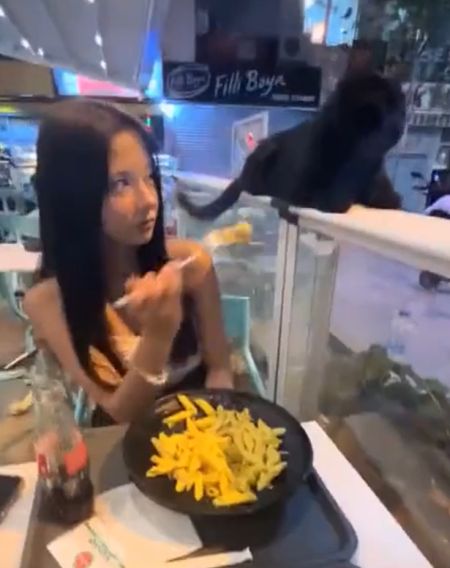 С котом шутки плохи⁠⁠