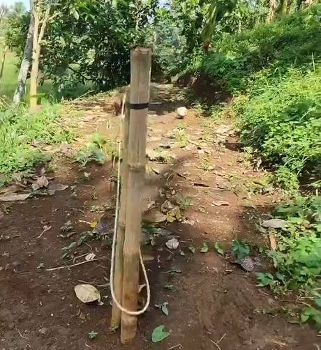 Рабочая схема!