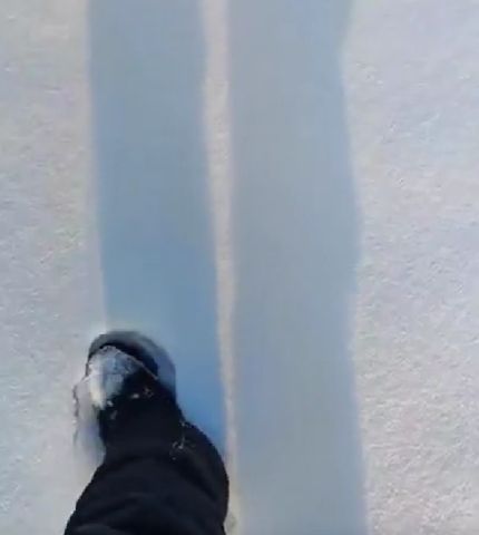 Вот что бывает, когда у кого-то дофига свободного времени