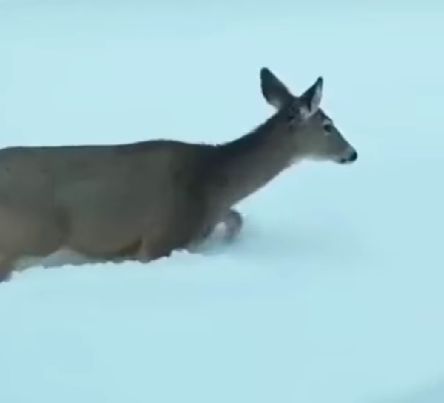 Мам, смотри как могу!