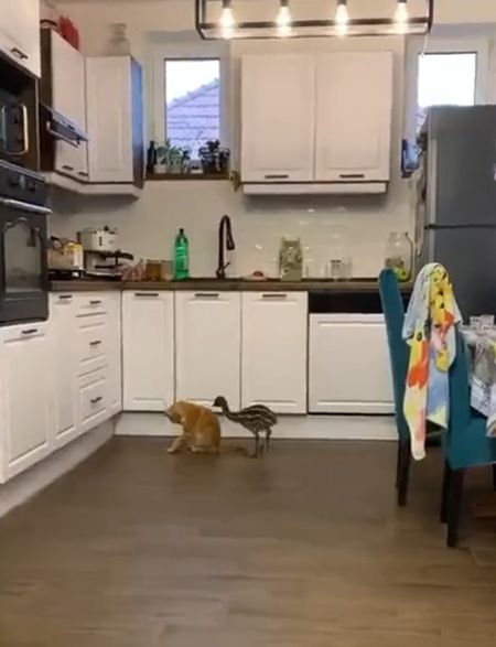 Вот так встреча⁠⁠