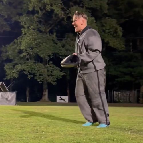 Вы всё ещё хотите "малинку" в питомцы?)