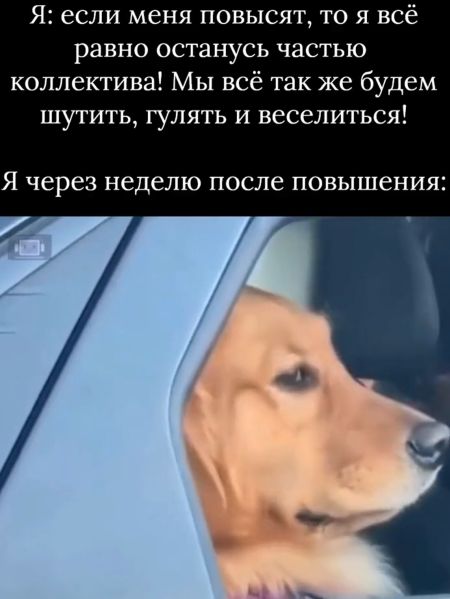 Повышение⁠⁠