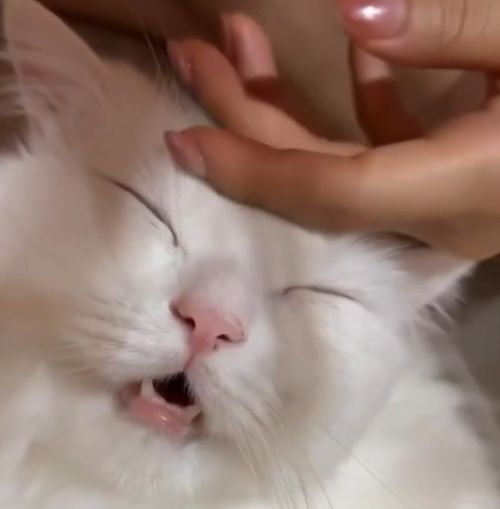 Так выглядит счастье⁠⁠