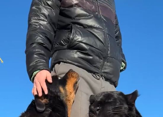 Когда витамин Д усваивается даже через язык⁠⁠