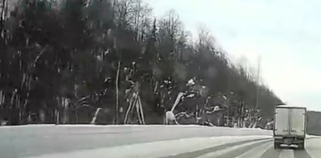 И что это было?