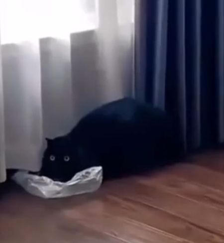 Ты на кого быканул?