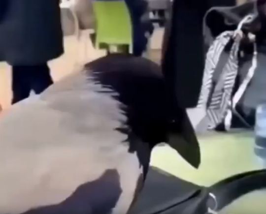 Мир не без добрых людей