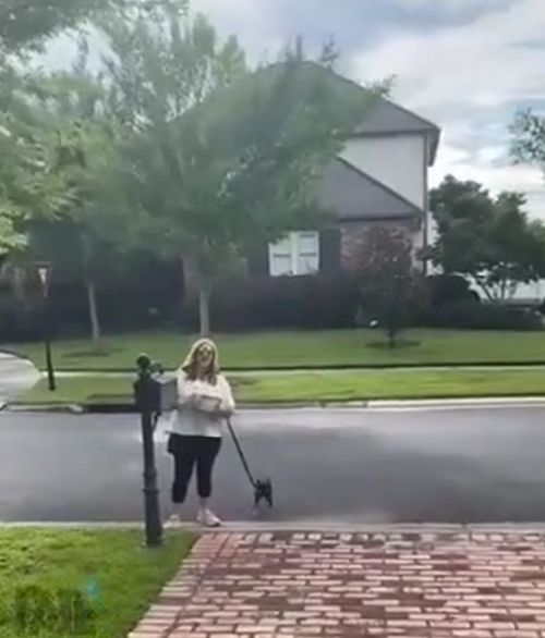 Почтовая воровка