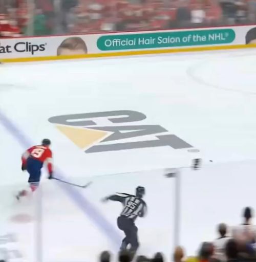 Сумасшедшие сэйвы в хоккее