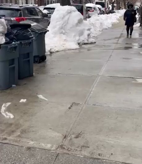 Невероятная скульптура из снега