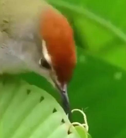 Шьём, вяжем, делаем макраме⁠⁠