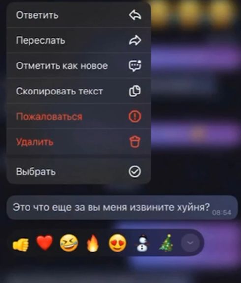 Ростовский магазин выложил тарантиновский диалог с клиенткой по поводу магнитных дверей