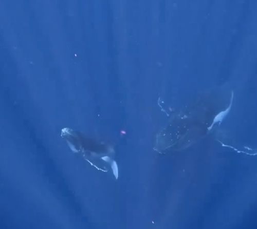 3... 2... 1... Взлёт!⁠⁠